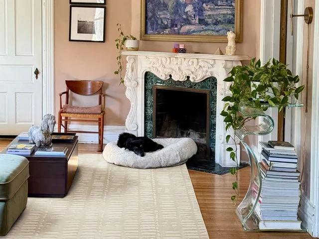 Image may contain: Fireplace, Indoors, Animal, Canine, Mammal, Pet, Dog, Dog Bed, Art, and Painting