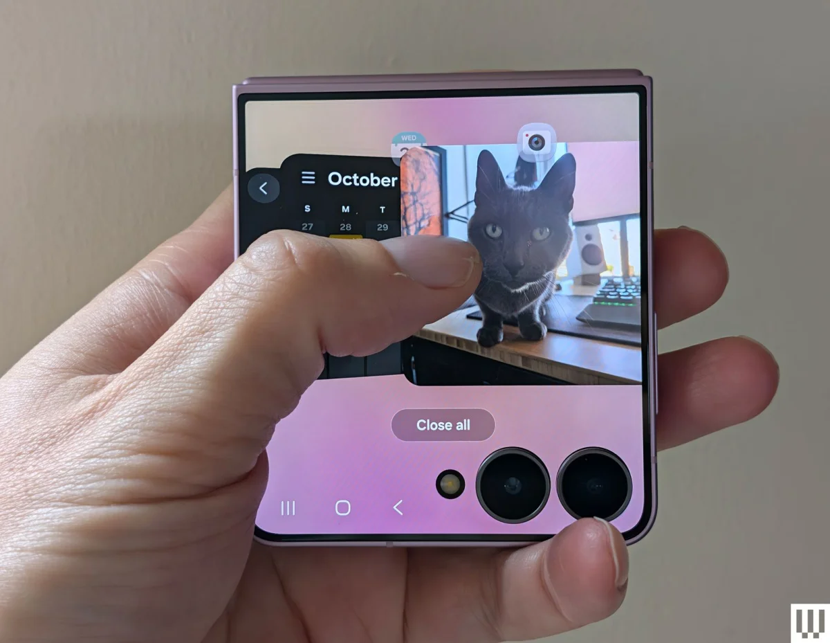 Image may contain Electronics Phone Mobile Phone Animal Cat Mammal Pet Screen Computer Hardware and Hardware