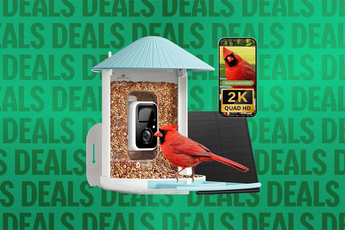 Smart Bird Feeder Deals: Birdfy and Kiwibit Models Compared