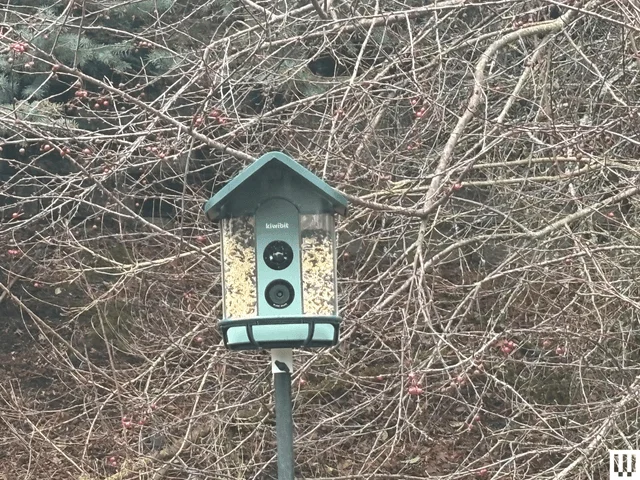 Image may contain: Mailbox, Light, and Bird Feeder